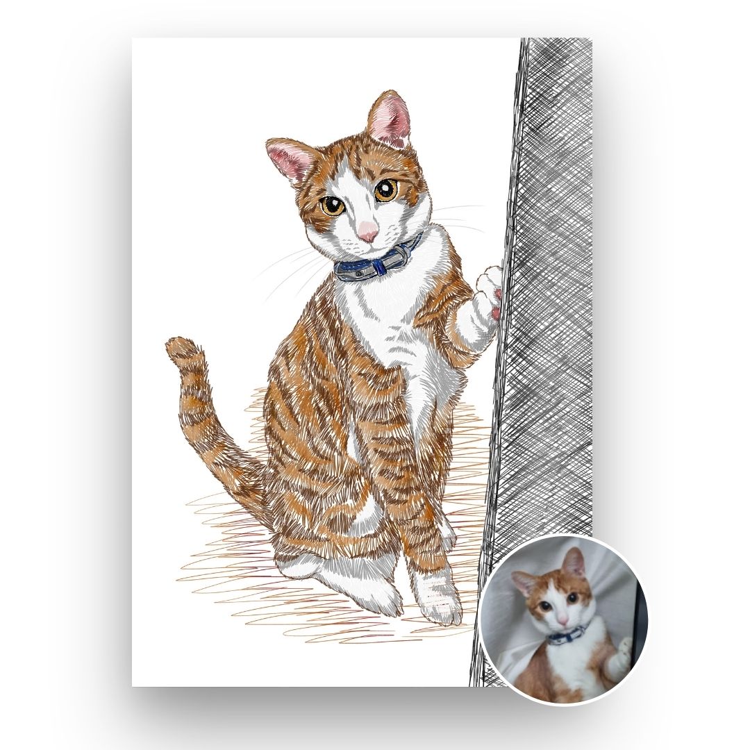 Drawn - Pet Portrait