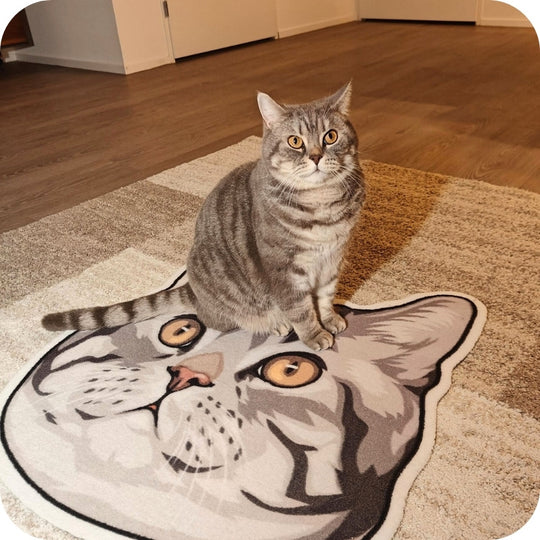 Pet Rug